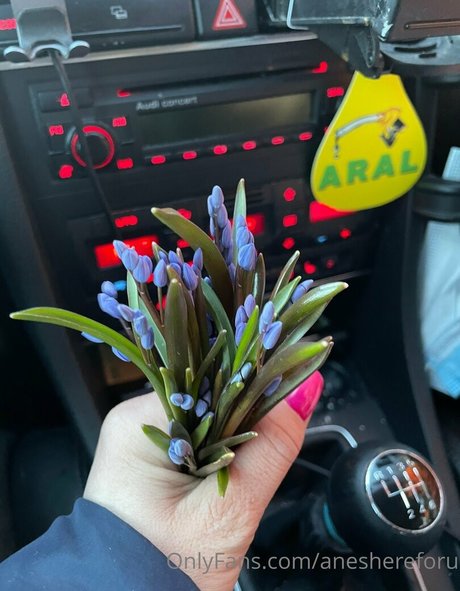 aneshereforu pornstar xxx pics