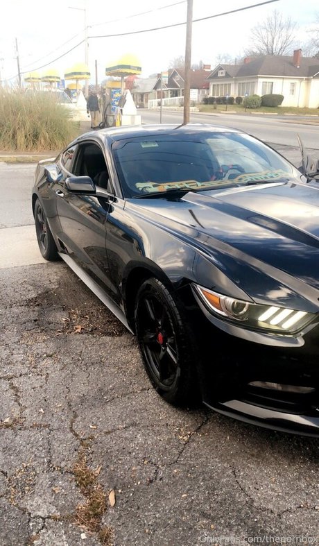 thepornbox nude star img