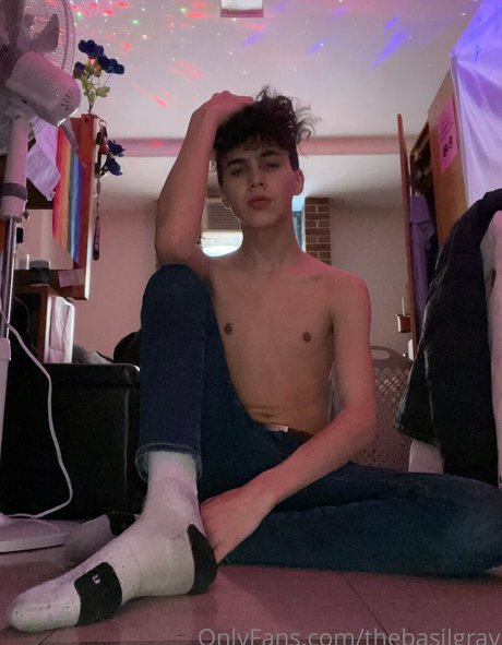 basilgray best model archive