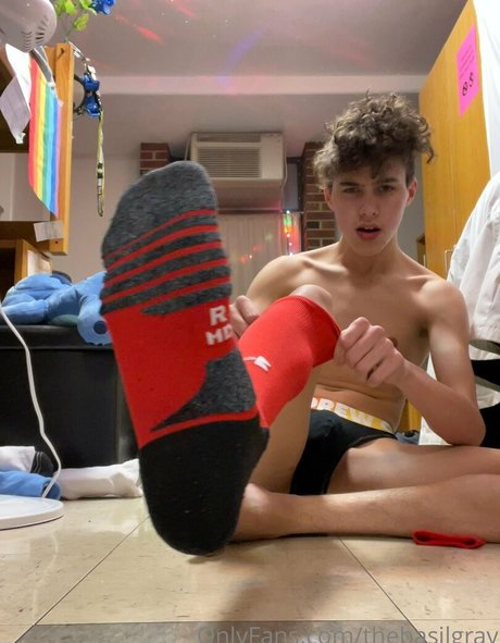 basilgray star beautiful photos