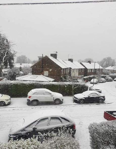 sillytilly art model photos