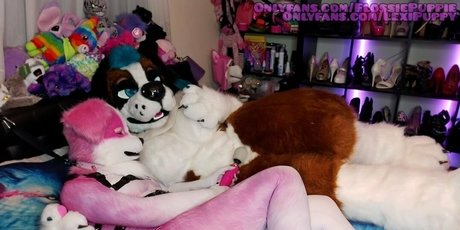 lexipuppy top star images