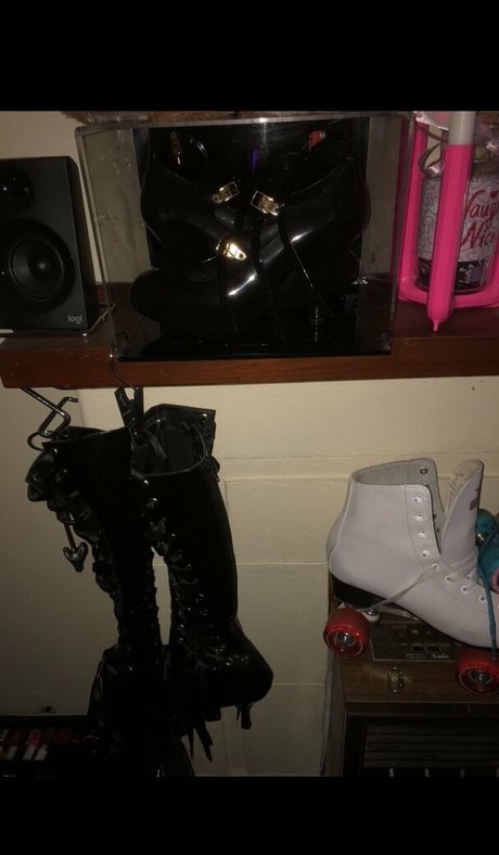 lexipuppy star picture