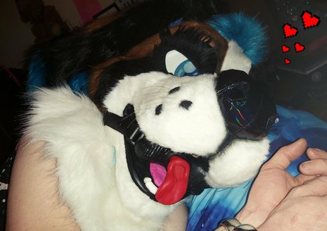 lexipuppy xxx model pic