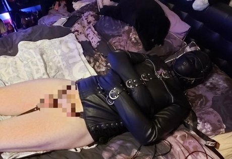 lexipuppy adult star img