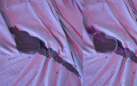 furry foxxy Profile pic