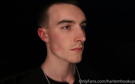 harlemhookup pornstar art pictures