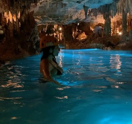 Michelle Balderrama pornstar high quality picture