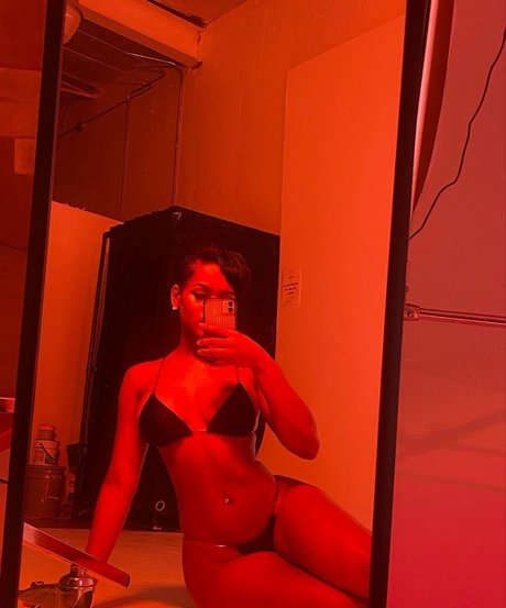 Nia no long model art picture