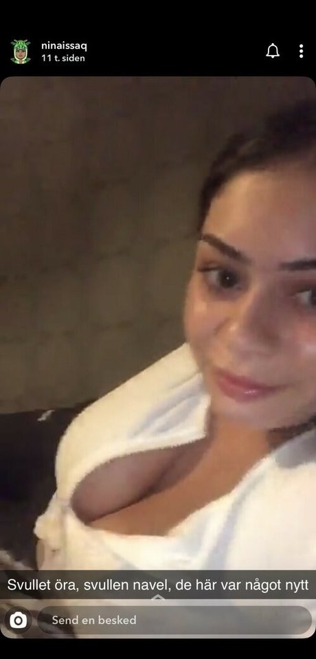 Swedish Nagon model art image