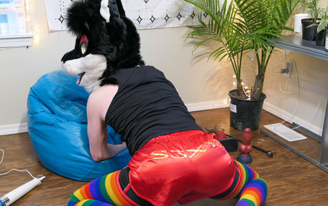 yiffykitty pretty pornstar photo