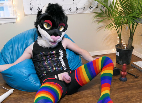 yiffykitty pornstar top pictures