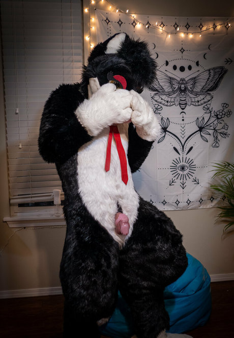 yiffykitty star top gallery