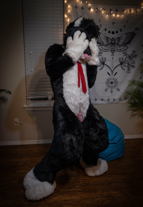 yiffykitty nudes star images