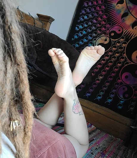 lilhippietoes pornstar adult archive