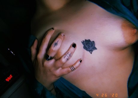 catandbean exclusive star picture