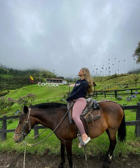 Gal Haitin pornstar picture