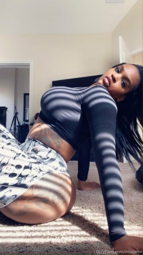 msdamn pornstar high quality galleries