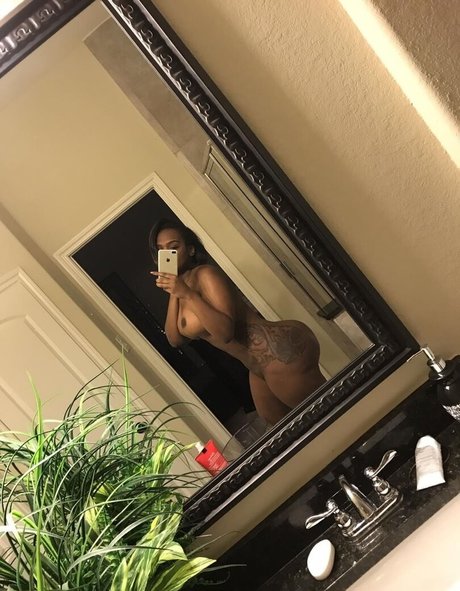 msdamn free pornstar img