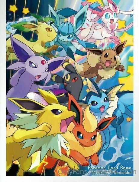 yokuchan high quality model gallery