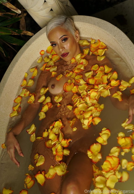 Kaylingarcia nice star galleries