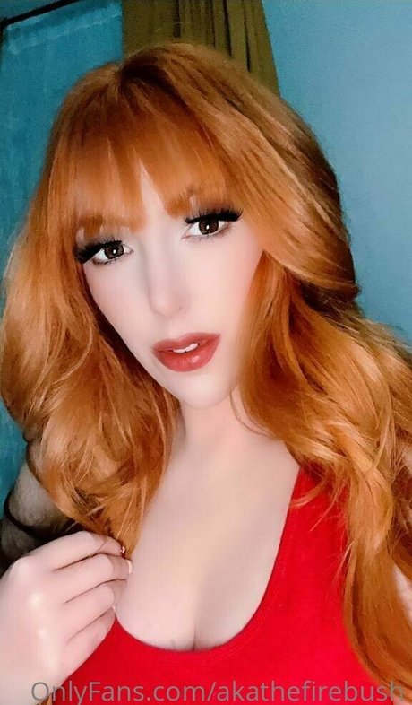 akathefirebush pornstar nice pic