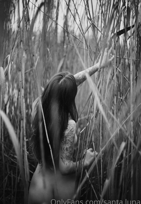 santa luna pornstar perfect gallery