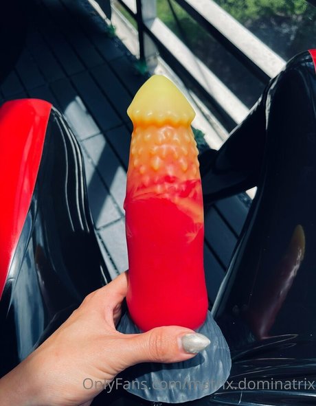 matrix dominatrix model top photo