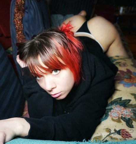 Ari cakes high quality pornstar images