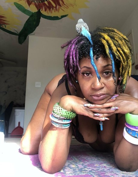 universallovvvve star top img