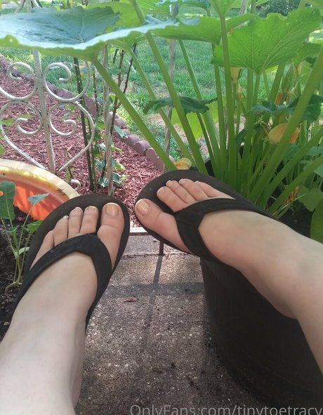 tinytoetracy star best image