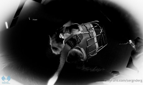 sergnderg best star pictures