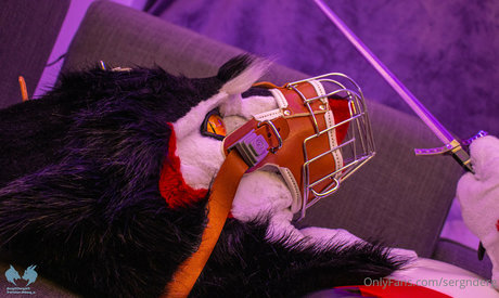 stars onlyfans free naked galleries