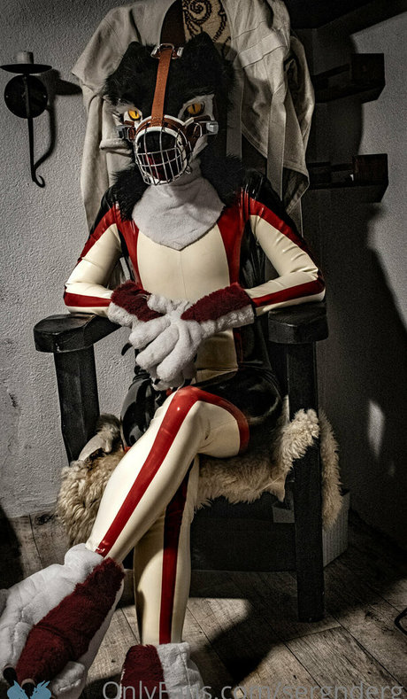 sergnderg art star galleries