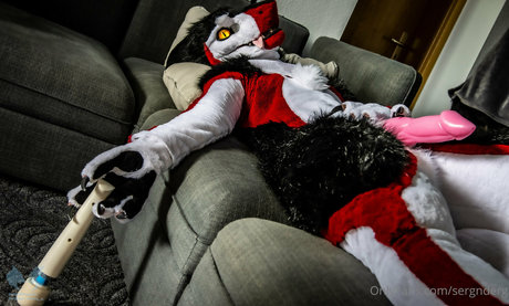 sergnderg star beautiful picture