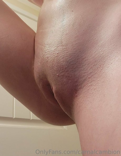 carnalcambion free star gallery