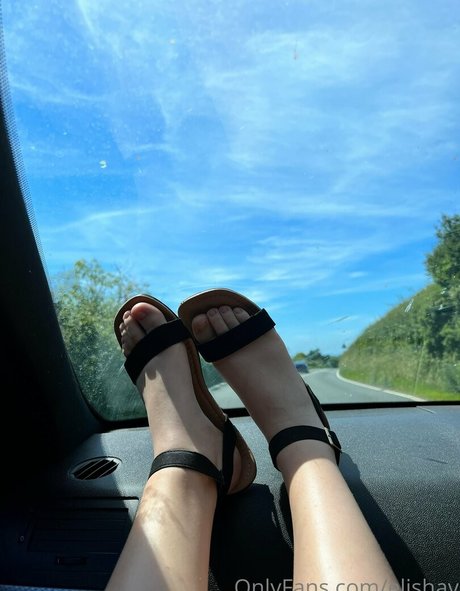 elkvjones perfect star gallery