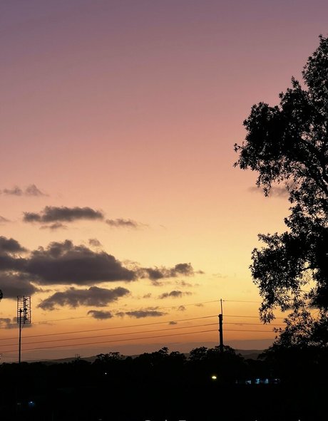 pzz drey star pretty picture