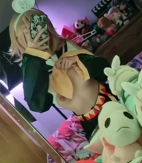 Hacchi Whitebear perfect model archive