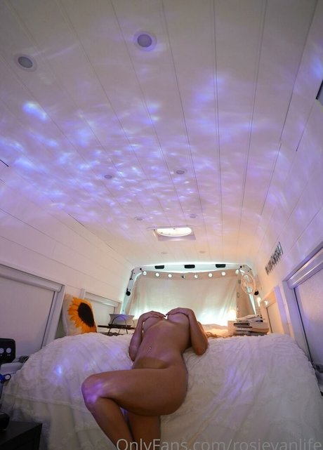 RosieVan star best picture