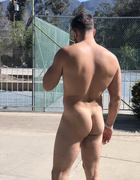 willpounder best pornstar pic