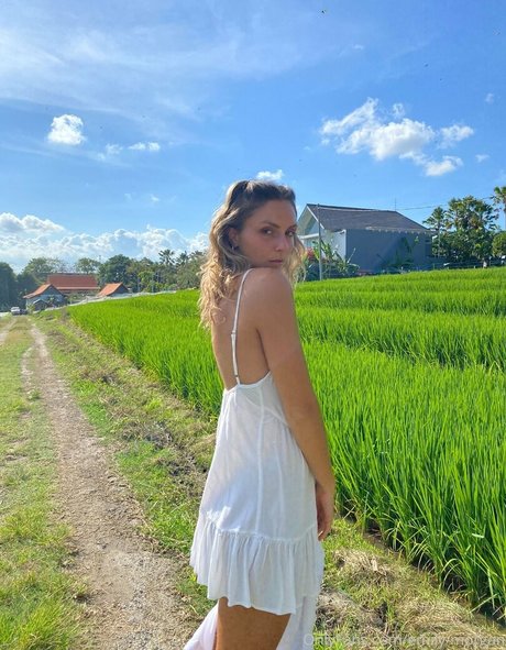 emily morgan star art pictures