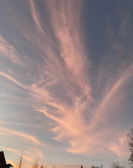 emily morgan best model pics