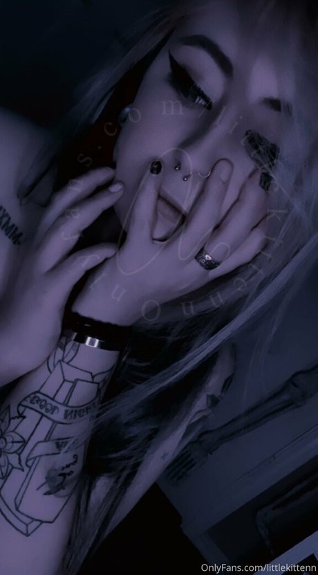 littlekittenn star best pictures