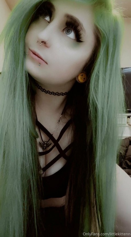 littlekittenn free model image