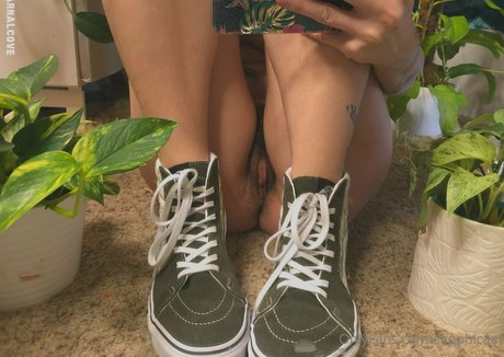 sapphicaat perfect pornstar gallery