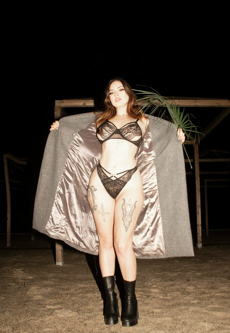 mania official pornstar hd archive