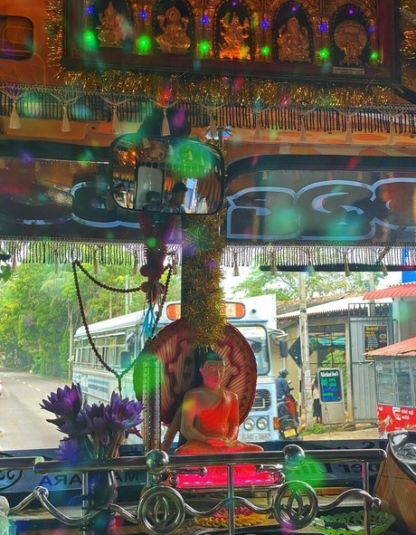 Aagrus free model pic