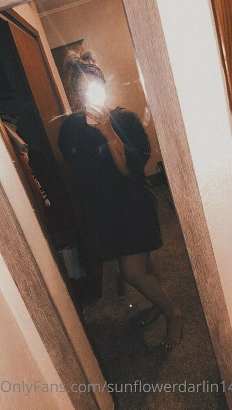 sunflowerdarlin14 art star pictures