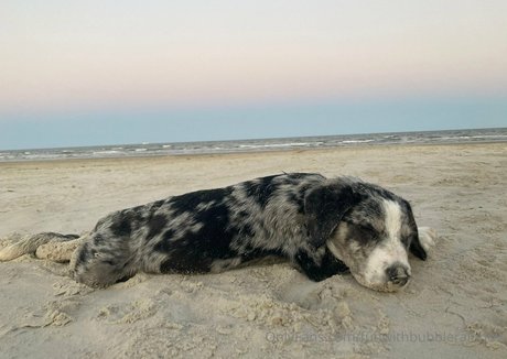 funwithbubblerainbow high quality model archive